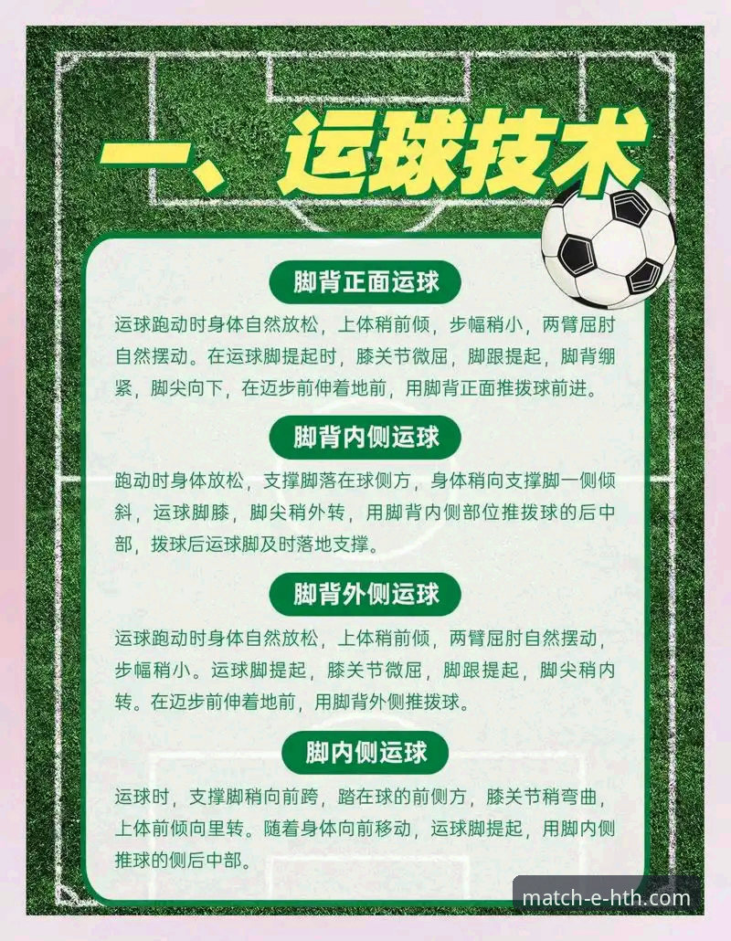 HTH华体会体育平台深度解析与使用指南